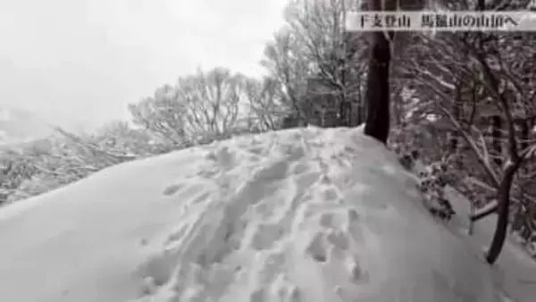 「干支登山」で訪れた馬鬣山で見つけた春の訪れ　明治天皇が名付けた山に春の息吹【動画あり】