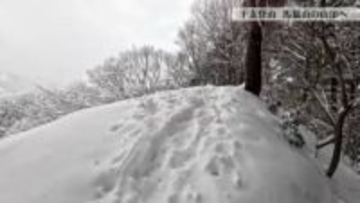 「干支登山」で訪れた馬鬣山で見つけた春の訪れ　明治天皇が名付けた山に春の息吹【動画あり】