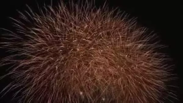 大輪の光　魚津の夏の夜を彩る　半世紀以上続く海上花火大会　今年も盛大に