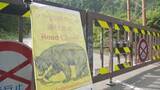 「称名滝のクマ被害で閉鎖の「称名道路」、20日から桂台ゲートを開放へ　「クマソニック」導入も検討　富山・立山町」の画像1