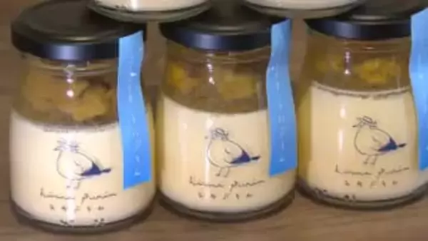 新感覚スイーツ「ひみウニプリン」誕生！　高校生が地元海岸の「磯焼け」問題に挑む