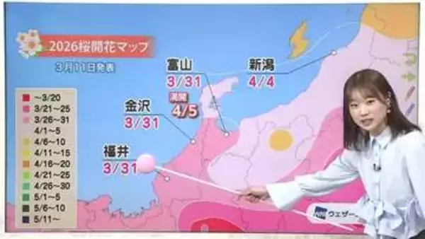 桜開花まであと2週間　富山市では椿寒桜が例年より1週間早く満開【気象予報士 解説（ソラをライブ）】