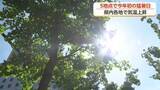 「今年初の猛暑日で熱中症搬送相次ぐ　「暑さを感じにくい」高齢者の屋内発症に警戒を」の画像1