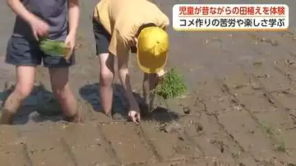 裸足で泥と格闘！富山市の小学生がコシヒカリの田植えに挑戦　9月には全校児童におにぎり振る舞う