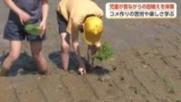 裸足で泥と格闘！富山市の小学生がコシヒカリの田植えに挑戦　9月には全校児童におにぎり振る舞う