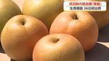 「呉羽梨に新顔「香麗」登場　幸水より2週間早く味わえる新品種　サクサク食感と豊かな香りが魅力」の画像1