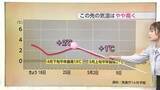 「17日は気温急上昇でチューリップも花開く【気象予報士 解説】」の画像1