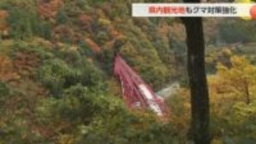 【動画あり】観光地のクマ対策が本格化　世界遺産も警戒、相倉合掌造り集落と黒部峡谷鉄道では独自対策