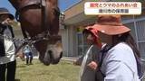 「「乗っていたところがフワフワ」　滑川の保育園でウマとのふれあい会、午年に一層盛り上がる」の画像1
