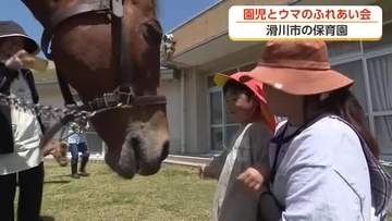 「乗っていたところがフワフワ」　滑川の保育園でウマとのふれあい会、午年に一層盛り上がる