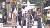 「富山県内に6日連続の熱中症警戒アラート 富山市で34.2℃観測」の画像1
