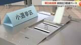 「入場券発送遅れも影響か　衆院選期日前投票は前回比3割減ペース」の画像1