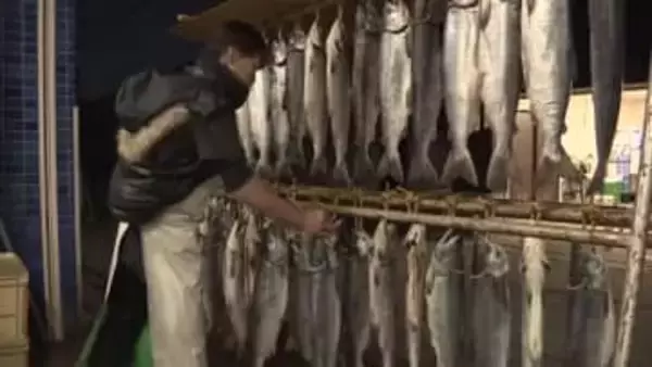 正月の縁起物に　富山市の鮮魚店で「新巻鮭」の天日干し作業