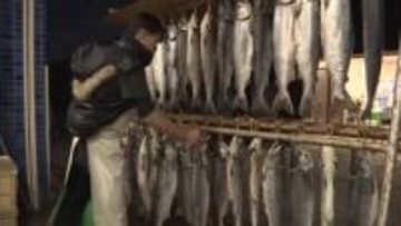 正月の縁起物に　富山市の鮮魚店で「新巻鮭」の天日干し作業