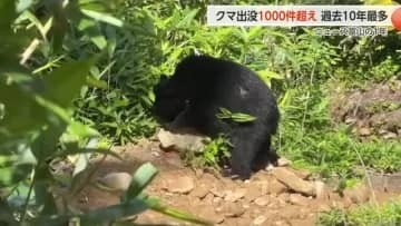 【富山の1年】「クマ大量出没」 過去最多に高まる住民の不安　「再来年また大量出没」専門家【動画あり】