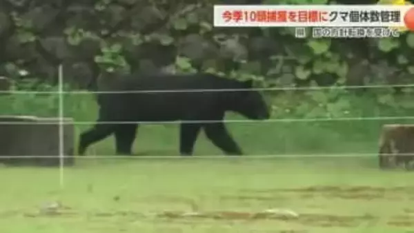 富山県が初の「春クマ捕獲」に踏み切る理由　従来の「保護」重視から個体数管理・削減へ方針転換