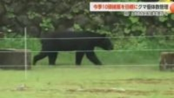 富山県が初の「春クマ捕獲」に踏み切る理由　従来の「保護」重視から個体数管理・削減へ方針転換