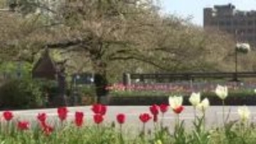 富山県内沿岸部に強風注意報　夕方まで強風に注意を