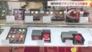 バレンタイン前に富山大和「ショコラの祭典」開幕　国内外のブランド並ぶ　割って取り出すユニークなものも