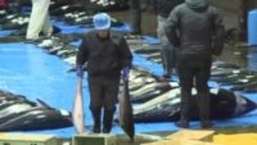 氷見漁港で初めての競り「初市式」お預けの「ひみ寒ぶり宣言」今年一年の豊漁を祈願