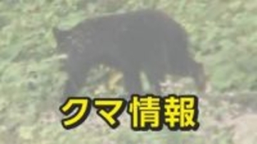 称名滝駐車場付近で86歳の男性がクマに襲われケガ