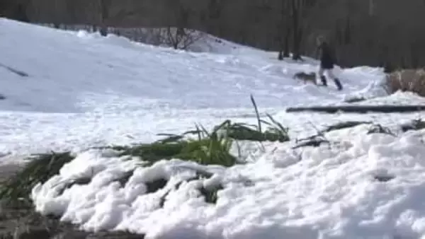 富山県内は3月中旬並みの陽気に　日中の気温は上昇