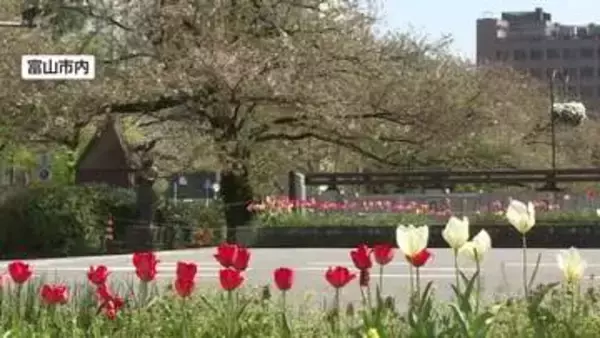 氷見市で最大瞬間風速18.1メートル　富山県内全域に強風注意報 11日の夜9時ごろまで注意を