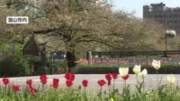 氷見市で最大瞬間風速18.1メートル　富山県内全域に強風注意報 11日の夜9時ごろまで注意を