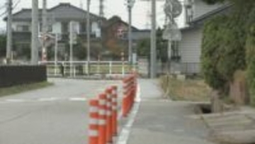 【続報】富山県上市町で逃げ出した大型犬を発見　飼い主のもとに返される