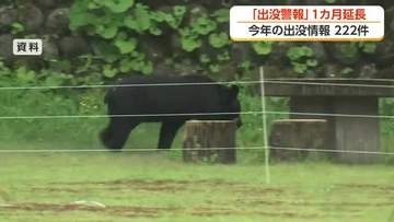富山県、ツキノワグマ出没警報を1カ月延長　出没情報は大量出没した去年同時期を大きく上回る
