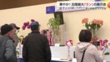 北陸最大の蘭展示会が開幕　富山県中央植物園で54回目の「蘭まつり大会」