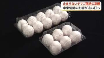 タマゴ高騰に追い打ち　中東情勢がパックの仕入れ値を50%押し上げ　富山の養鶏場が直面する二重苦