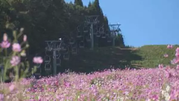 今冬は「スーパーエルニーニョ」で暖冬の可能性　スキー場、寒ブリ、立山の雪まで、富山への影響を総点検