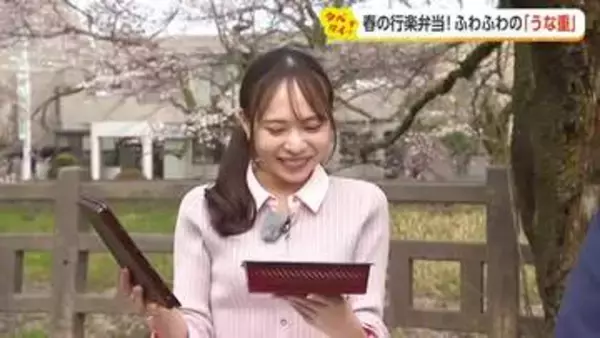 桜の下で贅沢ランチ！お花見に持っていきたい春の行楽弁当2選【動画で見る】