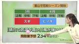 「スギ花粉が平年より1日早く飛散開始　25日大学入試の朝は雨予報【気象予報士 解説】」の画像1