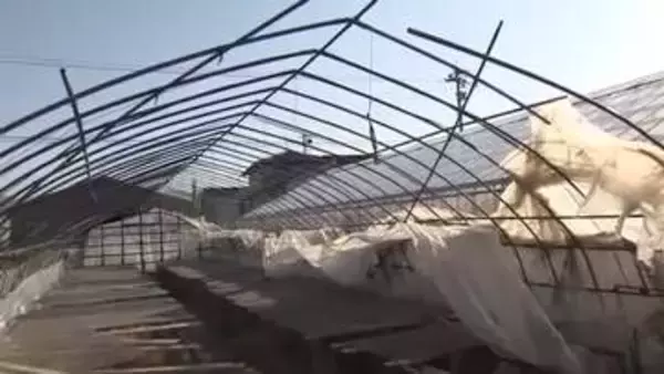 春の嵐で農業用ハウス281棟被害　南砺市では最大瞬間風速46.3メートルを観測