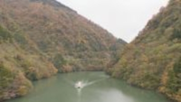 富山・庄川峡の紅葉が見頃！「久しくない綺麗さ」と支配人太鼓判　遊覧船からの絶景に国内外の観光客が感動　寒暖差が生んだ「紅葉当たり年」