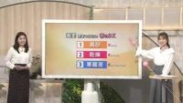 「びっしり！」ミツバチが大活躍の富山・呉羽丘陵　22日は”春の3K”に要注意【気象予報士 解説】