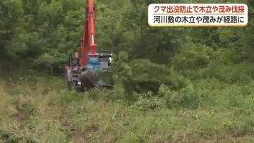 クマ対策で伐採エリアを拡大　富山の河川敷、「隠れ家をなくす」取り組みが進む