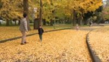 富山県内は雲が広がる、午後から雨がぱらつく所も　3連休最終日の24日