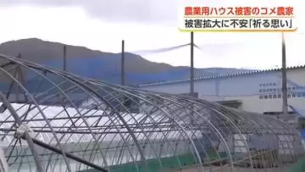 「こんなひどい被害は経験したことない」春の嵐で農業用ハウス被害　南砺市のコメ農家が育苗の行方に懸念