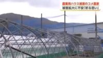 「こんなひどい被害は経験したことない」春の嵐で農業用ハウス被害　南砺市のコメ農家が育苗の行方に懸念