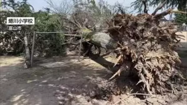 信号機の向きが変わるほどの猛烈な風　4日の「春の嵐」で富山県内の8人負傷・3130戸停電
