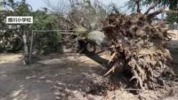 信号機の向きが変わるほどの猛烈な風　4日の「春の嵐」で富山県内の8人負傷・3130戸停電