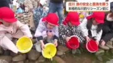 園児たちが川にヤマメを放流　庄川で「川開き」　サクラマスになって戻ることに期待