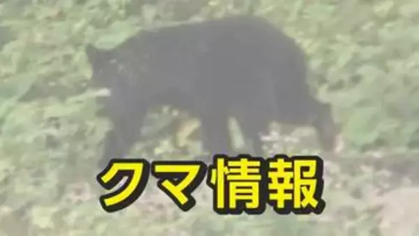 高岡市でクマの目撃情報　市が注意呼びかける