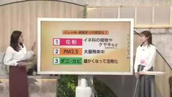 週明けは28度も、衣替えのタイミングに注意してほしいアレルギーの落とし穴【気象予報士 解説】