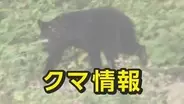 【クマ情報】富山県内　5月14日　富山市米田町で子グマの目撃か