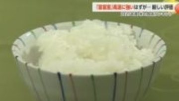 高温に強い「富富富」が厳しい評価　2025年産の米の食味ランキングが発表