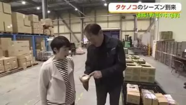 【追跡！野菜のお値段】「短期決戦」のタケノコシーズン到来　富山の春野菜、食べ逃し注意